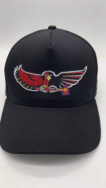 HOME TEAM Snapback Hat